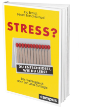 buch-stress3